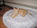 View full size picture