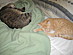 View full size picture