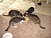 View full size picture