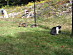 View full size picture