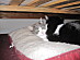 View full size picture