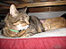 View full size picture