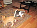 View full size picture