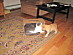 View full size picture
