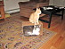 View full size picture