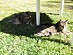 View full size picture