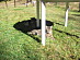View full size picture