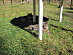 View full size picture