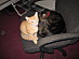 View full size picture