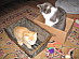 View full size picture