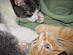 View full size picture