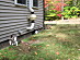 View full size picture