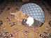 View full size picture