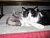 View full size picture