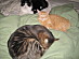 View full size picture