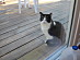 View full size picture