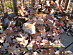 View full size picture