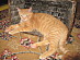 View full size picture