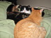 View full size picture