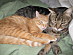 View full size picture