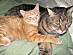 View full size picture