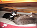 View full size picture