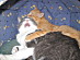 View full size picture