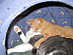 View full size picture