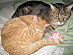 View full size picture