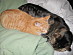 View full size picture