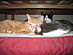 View full size picture
