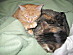 View full size picture