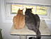 View full size picture