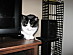 View full size picture