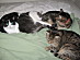 View full size picture
