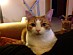 View full size picture
