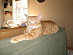 View full size picture