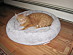 View full size picture