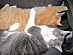 View full size picture