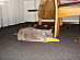 View full size picture