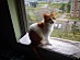 View full size picture