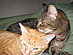 View full size picture