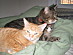 View full size picture