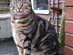 View full size picture
