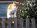 View full size picture