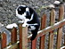 View full size picture