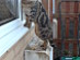 View full size picture