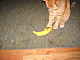 View full size picture