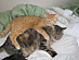 View full size picture