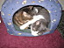 View full size picture